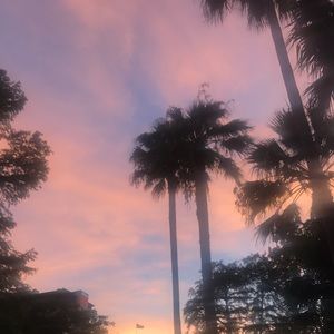 Meet your Posher, Claire